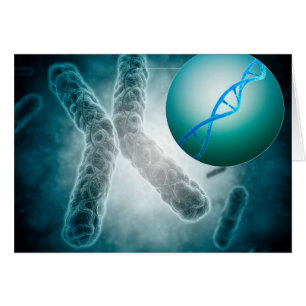 Begriffsbild von einem Telomere, das DNS zeigt