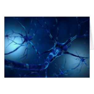 Begriffsbild von Neuron 2