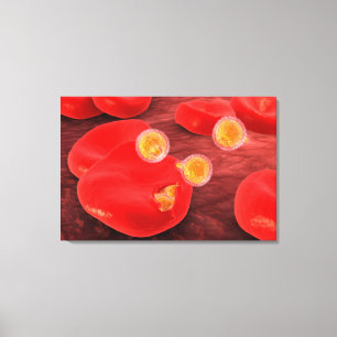 Begriffsbild von Paramecium 2 Leinwanddruck