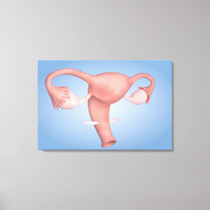 Begriffsbild weiblichen reproduktiven Organs 1 Leinwanddruck