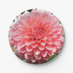 Begrüßen Sie den Frühling mit einem Riesenrosa Pappteller