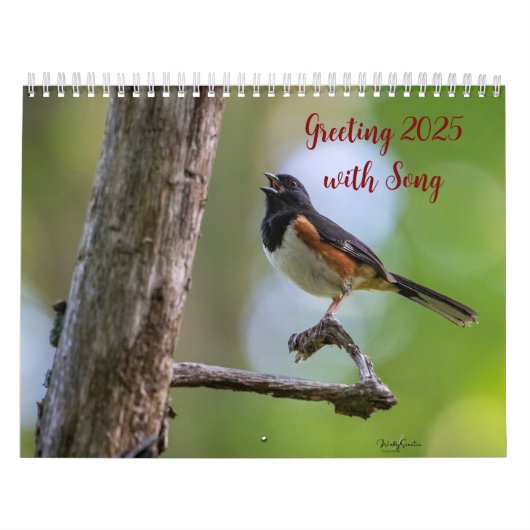 Begrüßung 2025 mit Song Calendar Kalender (Titelbild)