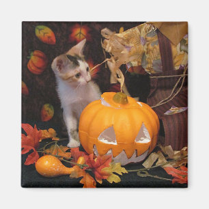Begrüßung des Herbstes / Halloween Kitten Magnet