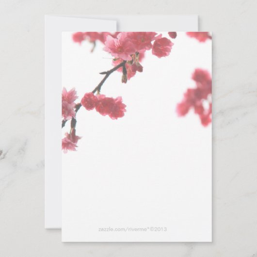 Begrüßung Frühling Sakura Doppelglückliche Hochzei Einladung (Rückseite)