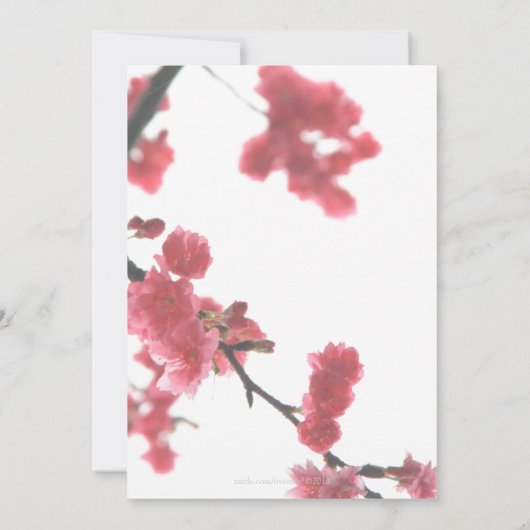 Begrüßung Frühlingssakura Double Happiness Hochzei Einladung (Rückseite)