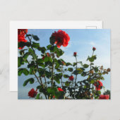 Begrüßung Geburtstagskarte Postkarte (Vorne/Hinten)