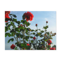 Begrüßung Geburtstagskarte