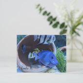 Begrüßung unter Wasser Postkarte (Stehend Vorderseite)
