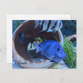 Begrüßung unter Wasser Postkarte (Vorne/Hinten)