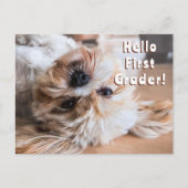 Begrüßung von Postkarten-SchülerInnen von Klassens Postkarte (Vorderseite)