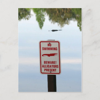 Begrüßungsausschuss für Florida Postkarte