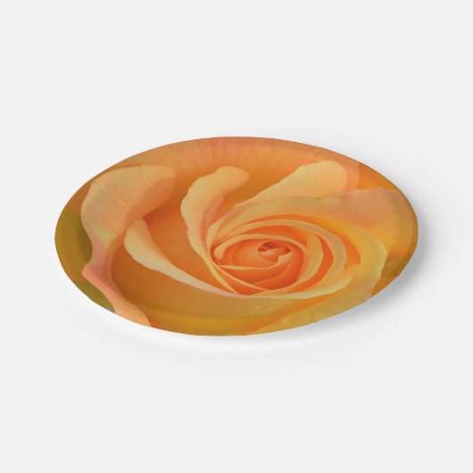 Begrüßungsfeder mit Riesengelber Rose Pappteller (Schrägansicht)