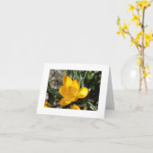 Begrüßungsfrühling Karte (Gelbe Blume)