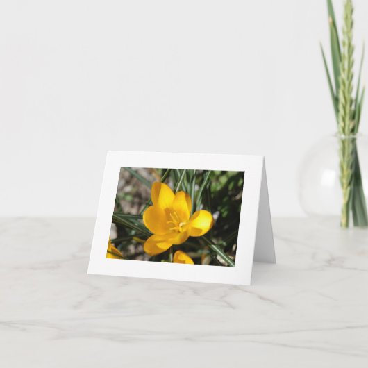 Begrüßungsfrühling Karte (Vorderseite)