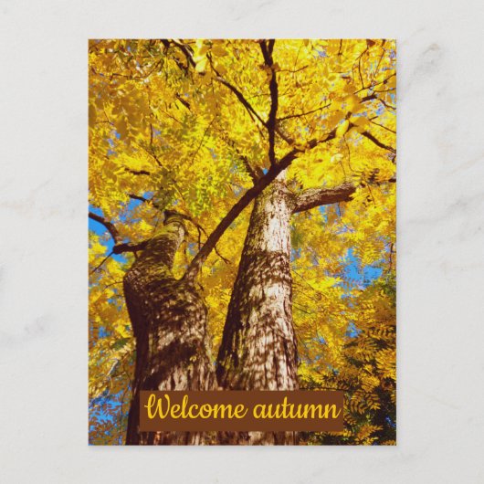 Begrüßungsherbst Postkarte (Vorderseite)