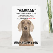 Begrüßungskarte der Weimaraner Mutter Dankeskarte (Vorderseite)