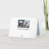 Begrüßungskarte Karte (Rückseite)