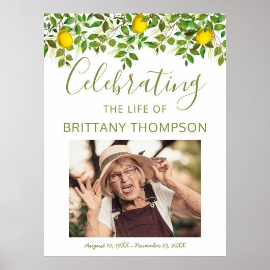 Begrüßungszeichen | Das Leben gibt dir Löwen Poster (Vorne)