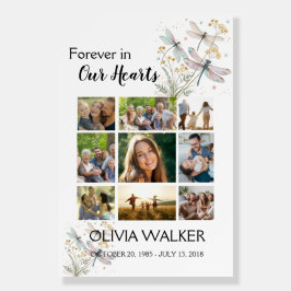 Begrüßungszeichen des Dragonfly-Fotos