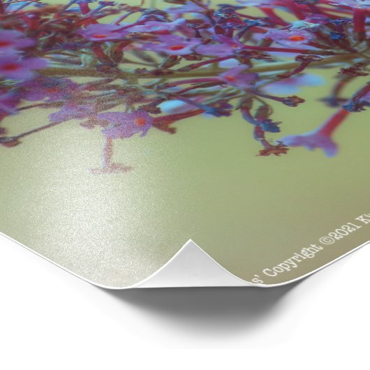 Begutachtung Fotodruck (Ecke)