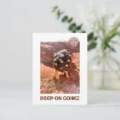 Behalt auf dem Wandern mit dem Baby Sulcata in Sed Postkarte (Stehend Vorderseite)