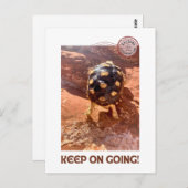 Behalt auf dem Wandern mit dem Baby Sulcata in Sed Postkarte (Vorne/Hinten)