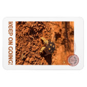 Behalt auf Motivierend Kabeljauentwicklung Tortois Magnet (Horizontal)