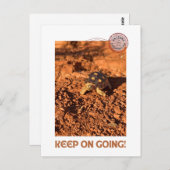 Behalt auf Motivierend Kabeljauentwicklung Tortois Postkarte (Vorne/Hinten)