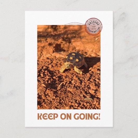 Behalt auf Motivierend Kabeljauentwicklung Tortois Postkarte (Vorderseite)