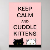Behalt Calm Kittens Poster (Vorne)