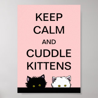 Behalt Calm Kittens Poster