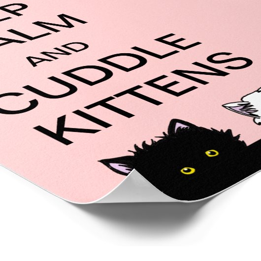 Behalt Calm Kittens Poster (Ecke)