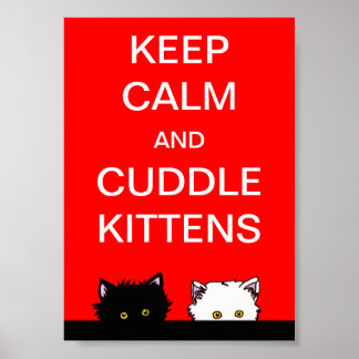 Behalt Calm Kittens Poster