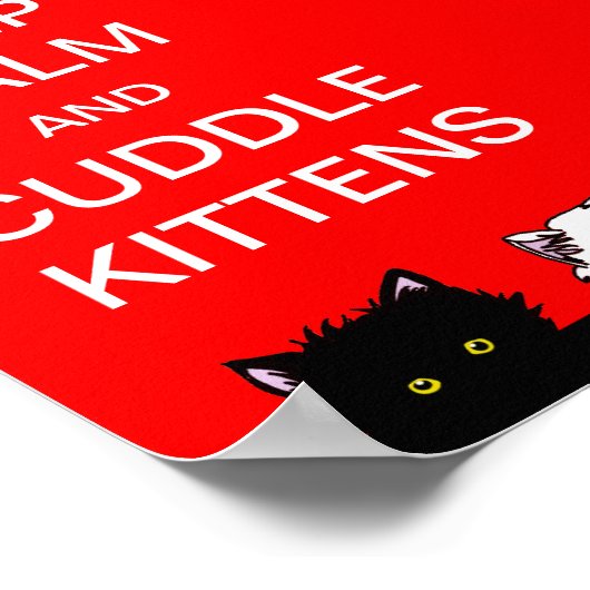 Behalt Calm Kittens Poster (Ecke)