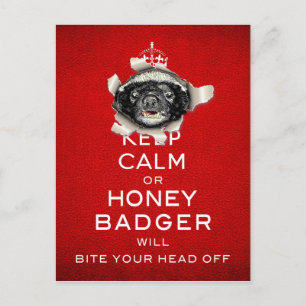 Behalt Calm oder Honey Badger... Postkarte