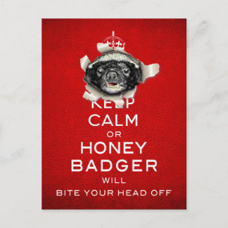 Behalt Calm oder Honey Badger... Postkarte