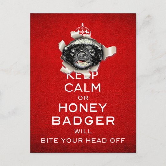 Behalt Calm oder Honey Badger... Postkarte (Vorderseite)