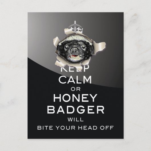 Behalt Calm oder Honey Badger... Postkarte (Vorderseite)