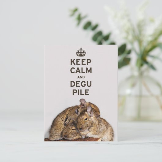 Behalt Calm und Degu Pile Postkarte (Stehend Vorderseite)
