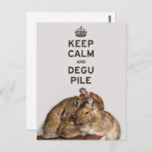 Behalt Calm und Degu Pile Postkarte (Vorne/Hinten)