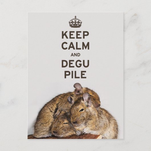 Behalt Calm und Degu Pile Postkarte (Vorderseite)