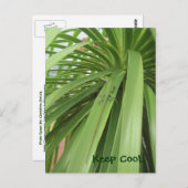 Behalt Cool.. Postkarte (Vorne/Hinten)