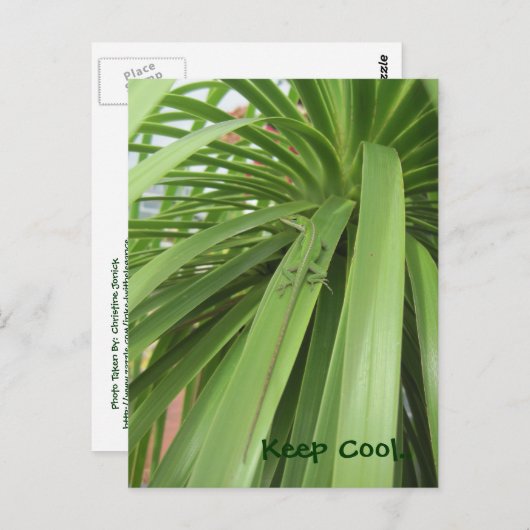 Behalt Cool.. Postkarte (Vorne/Hinten)