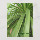 Behalt Cool.. Postkarte (Vorderseite)