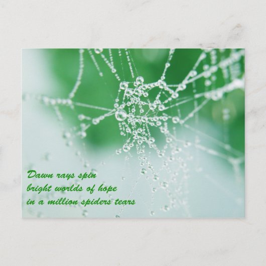 Behalt deine Hoffnungen Postkarte (Vorderseite)