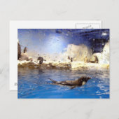 Behalt deinen Kopf hoch/Niedlichen Schwimmpinguin Postkarte (Vorne/Hinten)