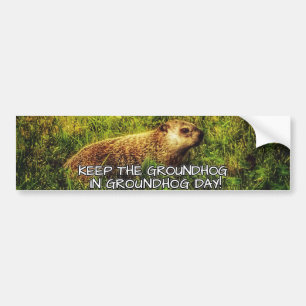 Behalt der Groundhog im Groundhog Day Autoaufklebe Autoaufkleber