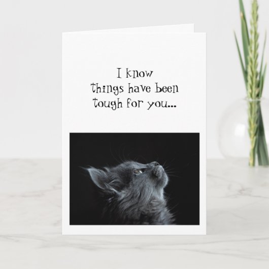 Behalt der Suche nach Gott Ermutigung Katze Tier Karte (Vorderseite)