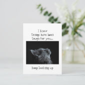 Behalt der Suche nach Gott Ermutigung Katze Tier Postkarte (Stehend Vorderseite)