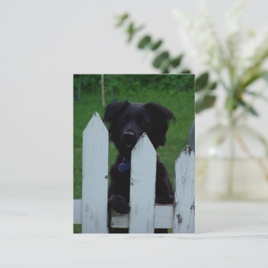 behalt eines Auges Postkarte (Stehend Vorderseite)